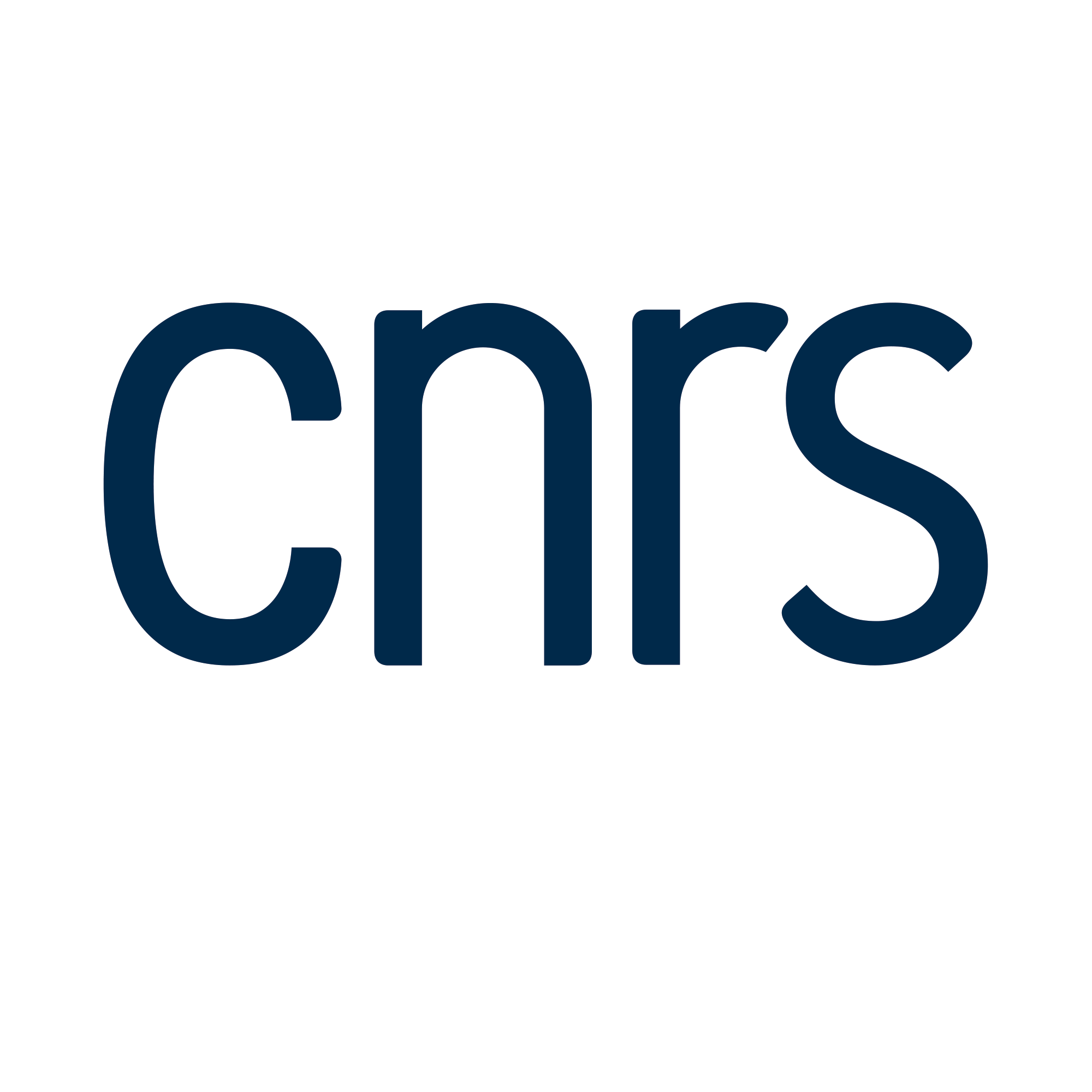 LOGO_CNRS_BLANC