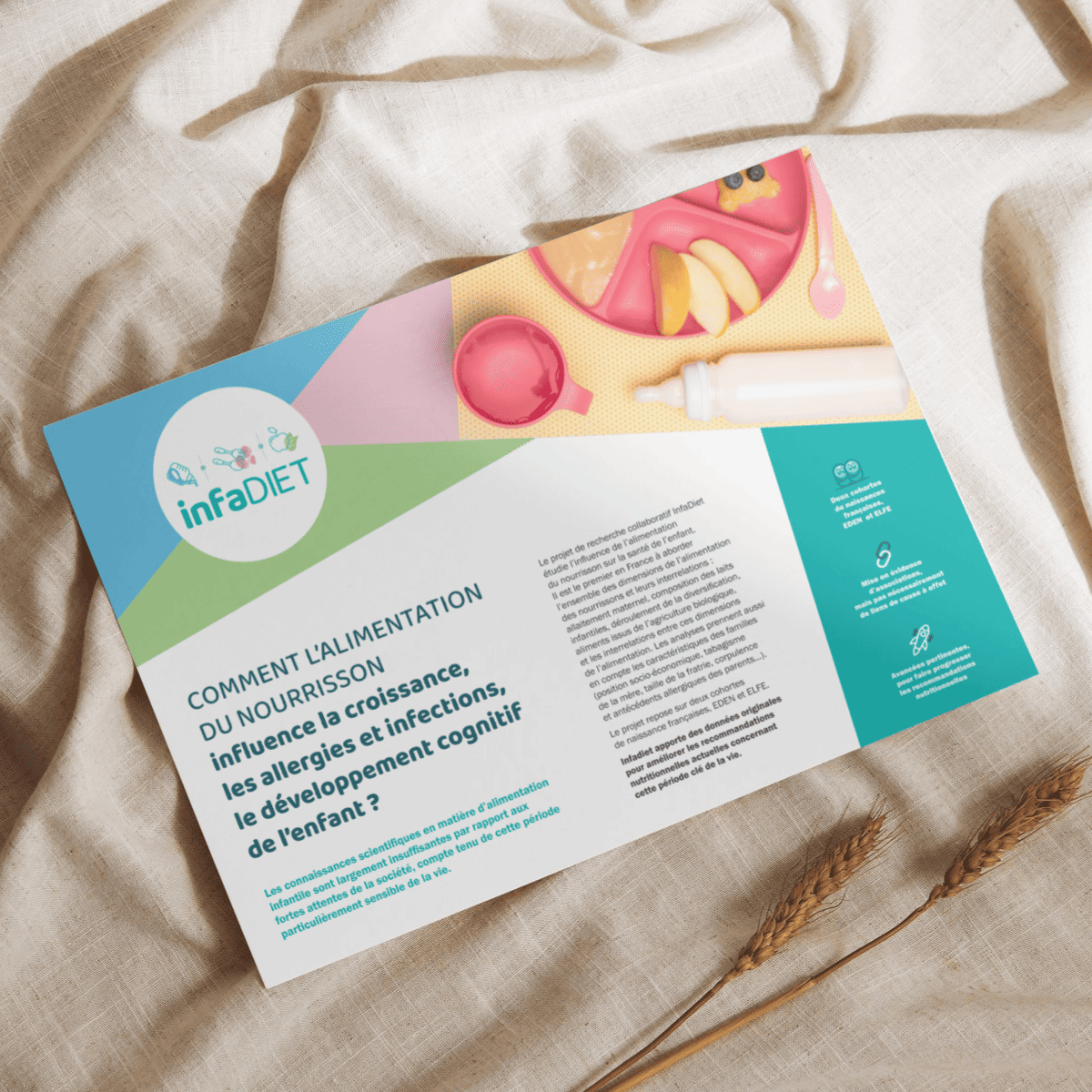 Mockup Infadiet OK