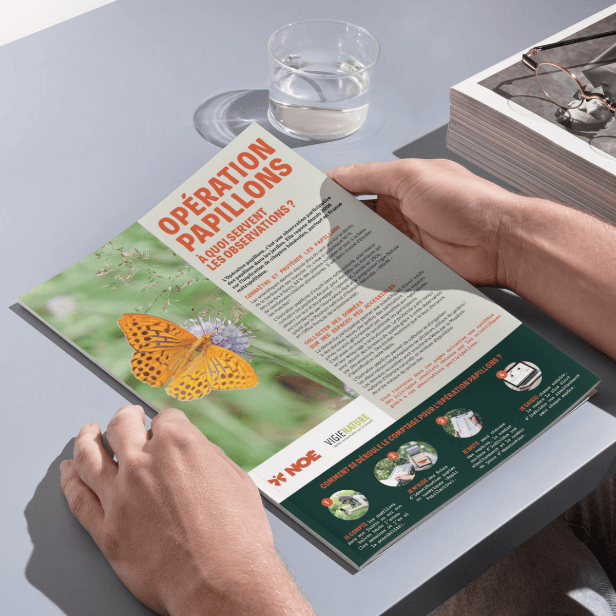 Mockup brochure Opération papillon